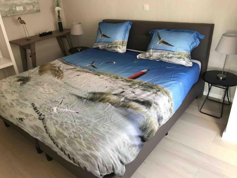 Casita Ostend City & Beach ภายนอก รูปภาพ